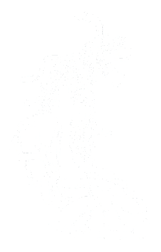 Alegria